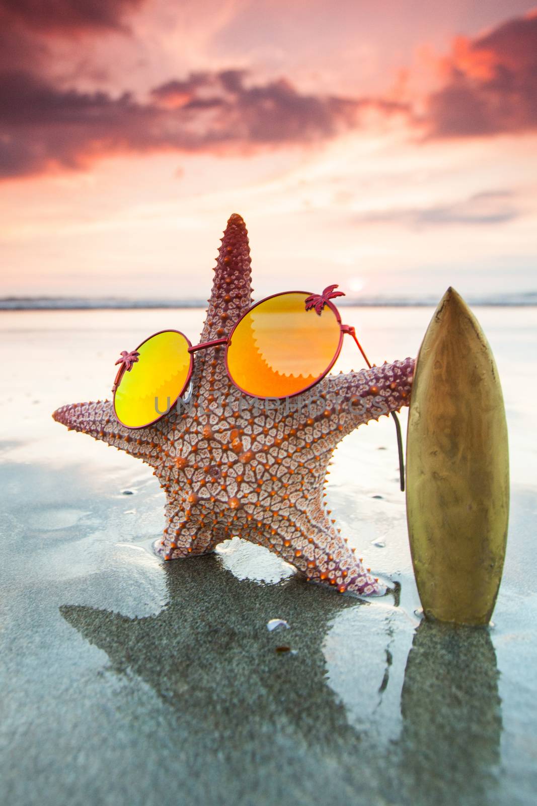 Starfish surfer on the beach and beautiful sunset on Bali