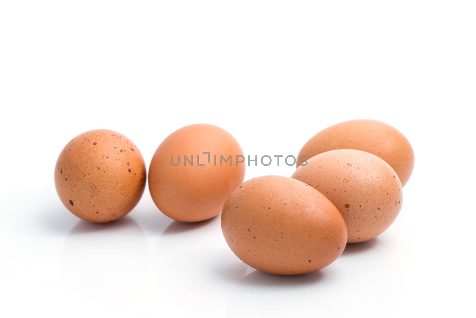 eggs isolated on white by antpkr