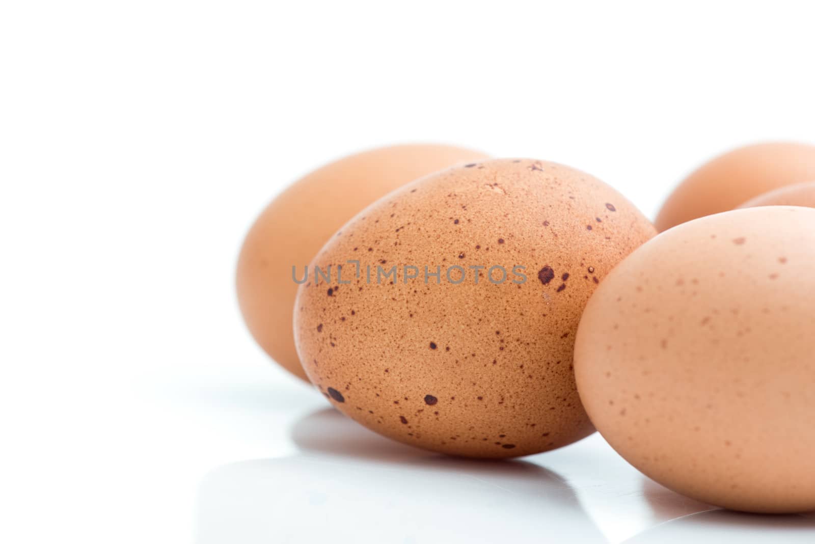 eggs on white background by antpkr