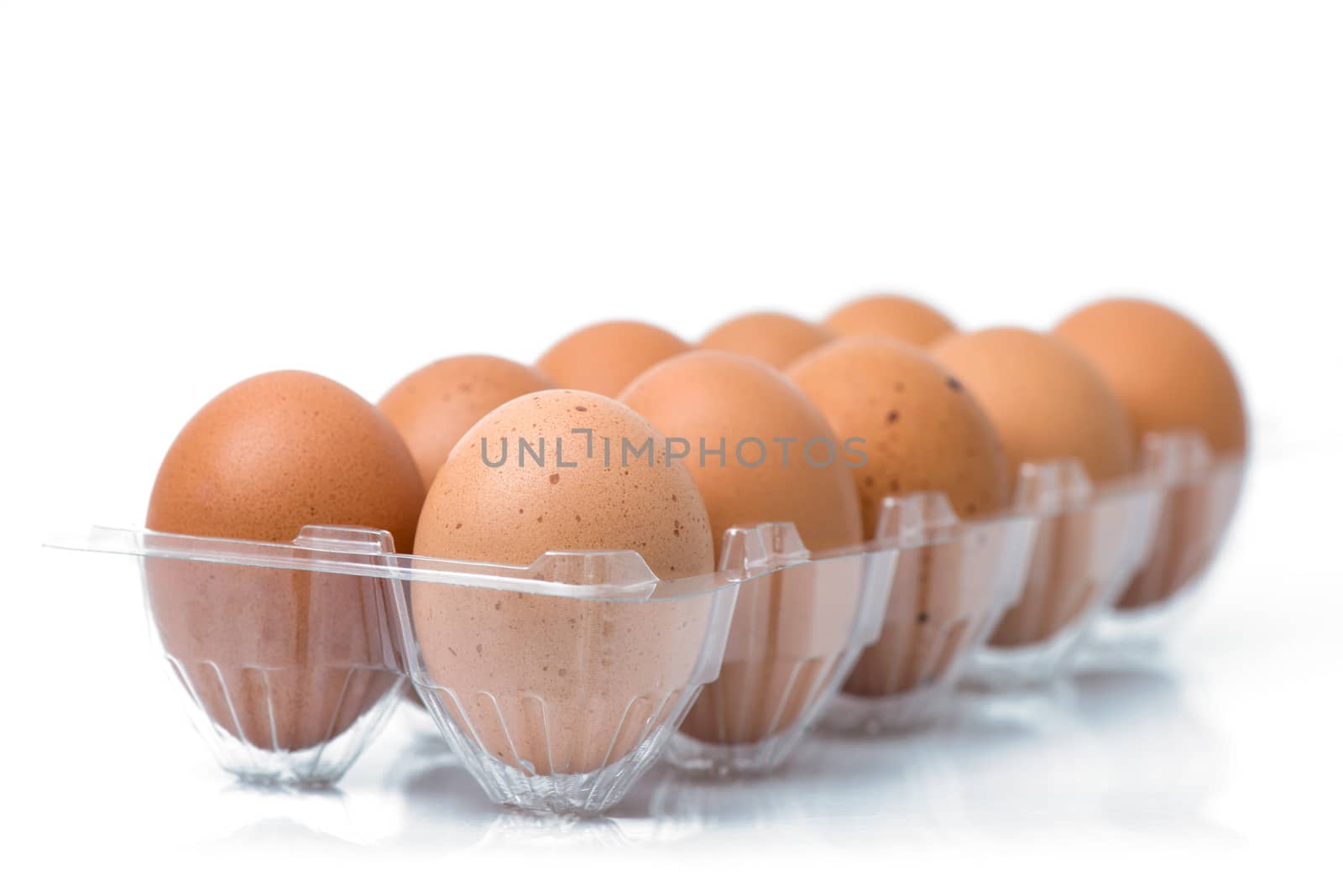 eggs packed isolated white background