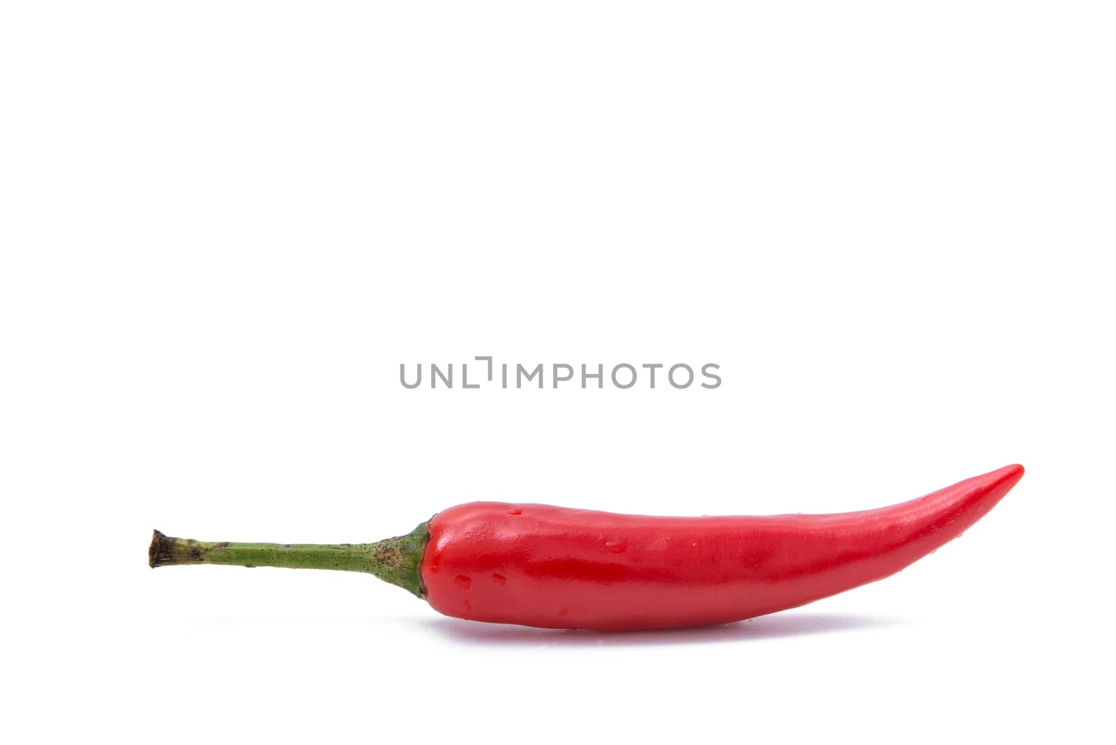 red pepper isolated on white background by antpkr