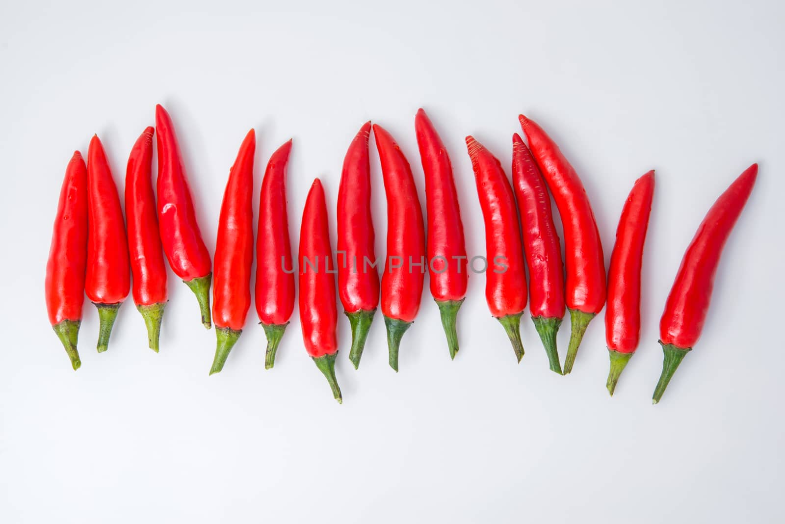 row of red pepper isolated on white background by antpkr