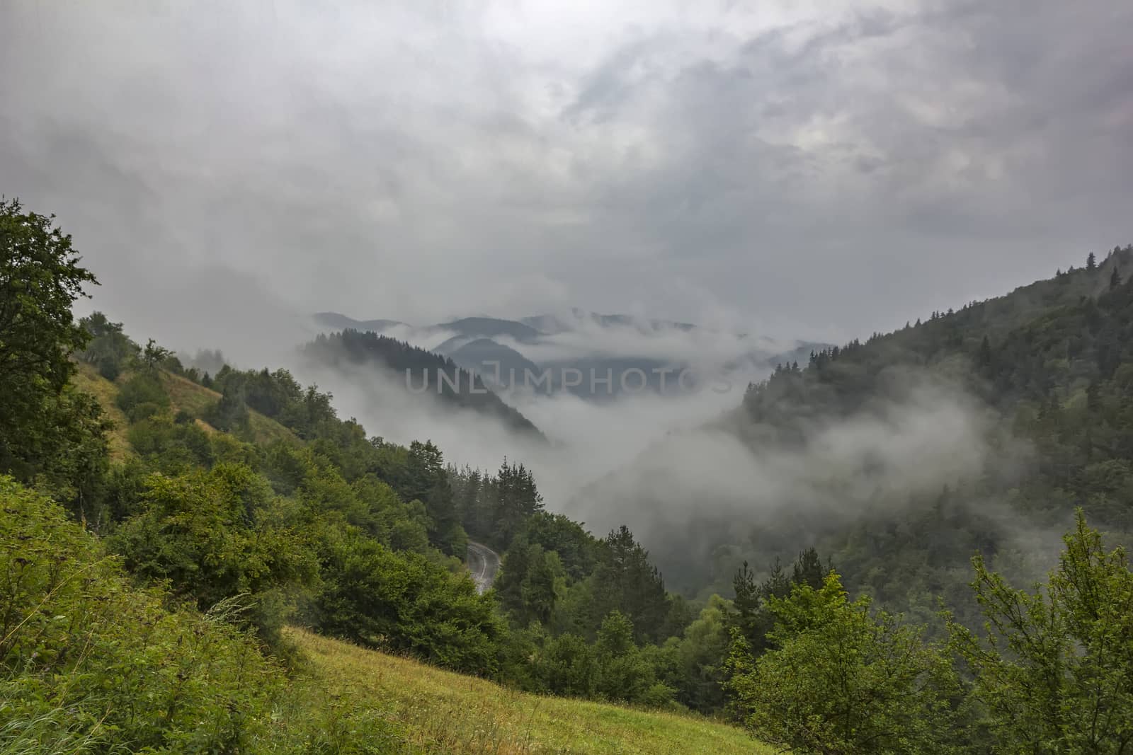 beauty landscape with vapor over the mountain