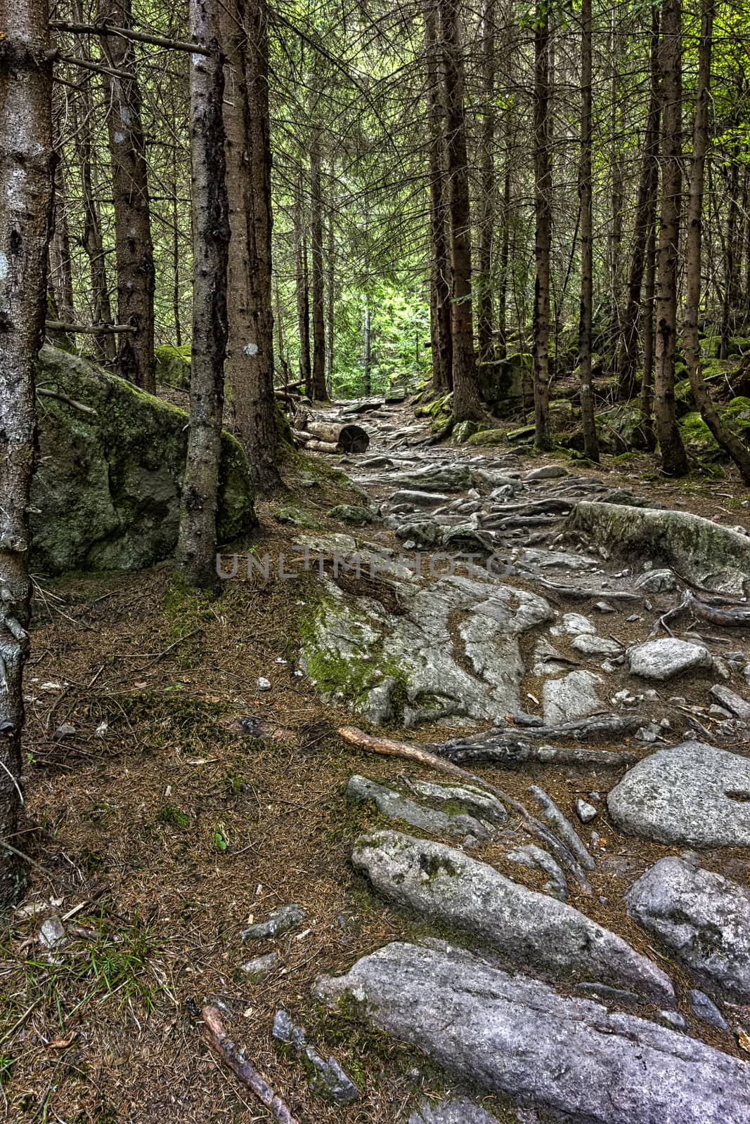 rocky walkway road by EdVal