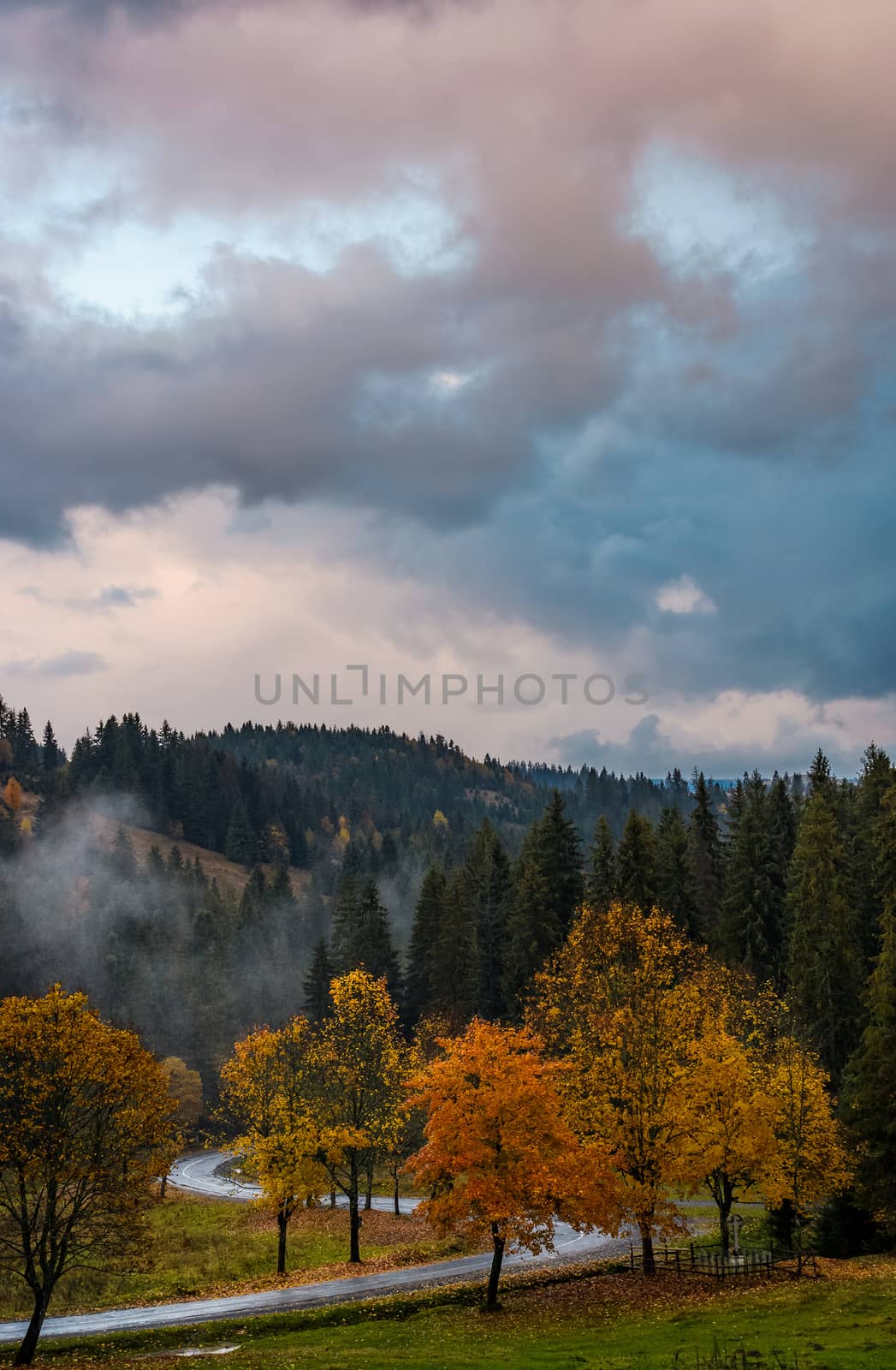 winding road through forest in autumn evening with gorgeous cloudy sky. beautiful nature scenery