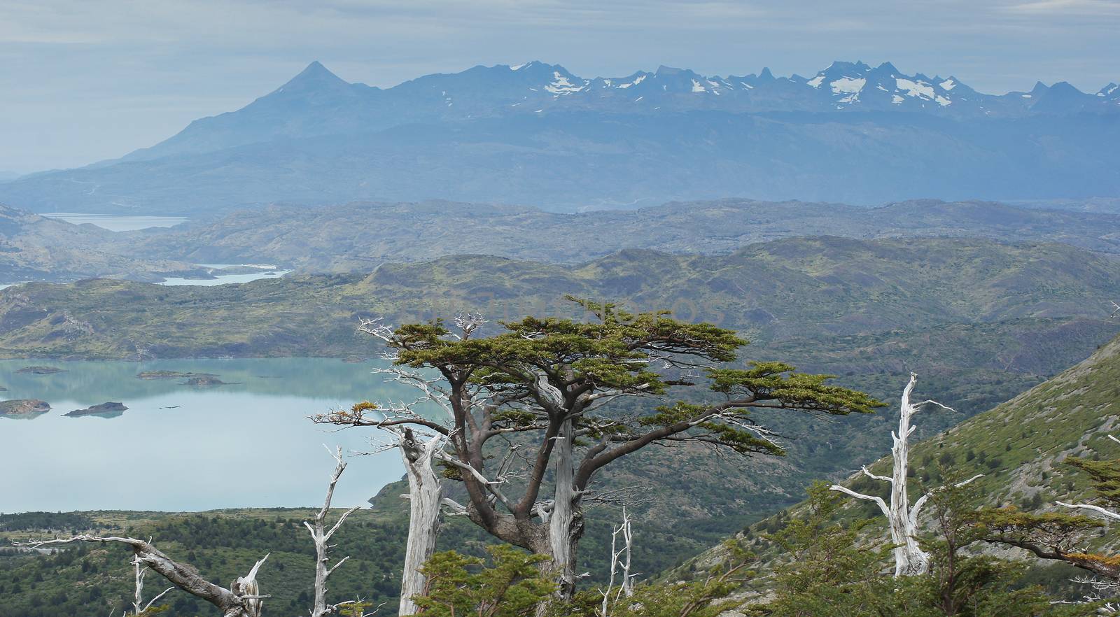 Landscape of the Torres del Paine National Park, Chile, South America