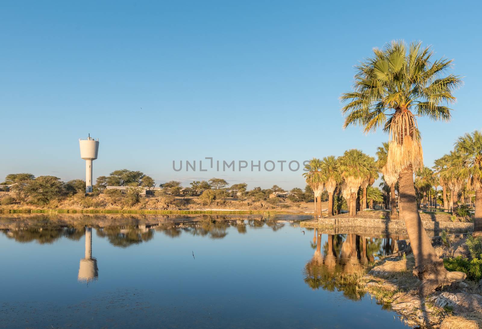 Sunset view with reflections of palm trees of the dam and reservoir at Gross Barmen, near Okahandja in the Otjozondjupa Region of Namibia