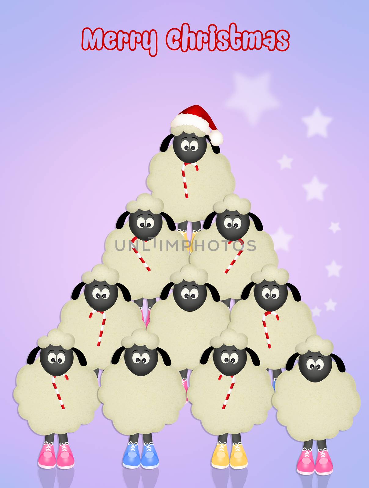 illustration of postcard for Christmas with sheeps
