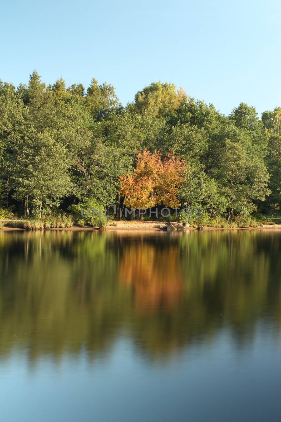 autumn beautiful view of the river landscape reflected in the water long exposure