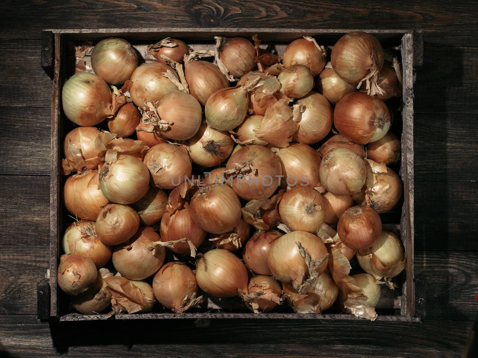 Onions in wooden box on dark wooden background. Low key. Top view or flat lay. Hard light