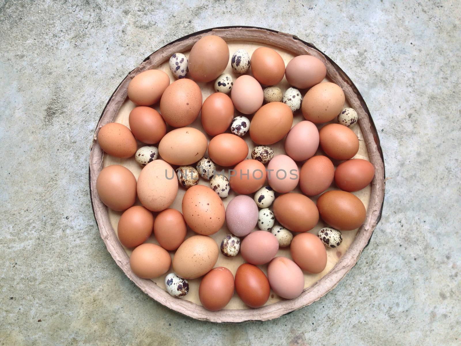 Chicken eggs and Quail eggs in wooden plate on cement background by Bowonpat