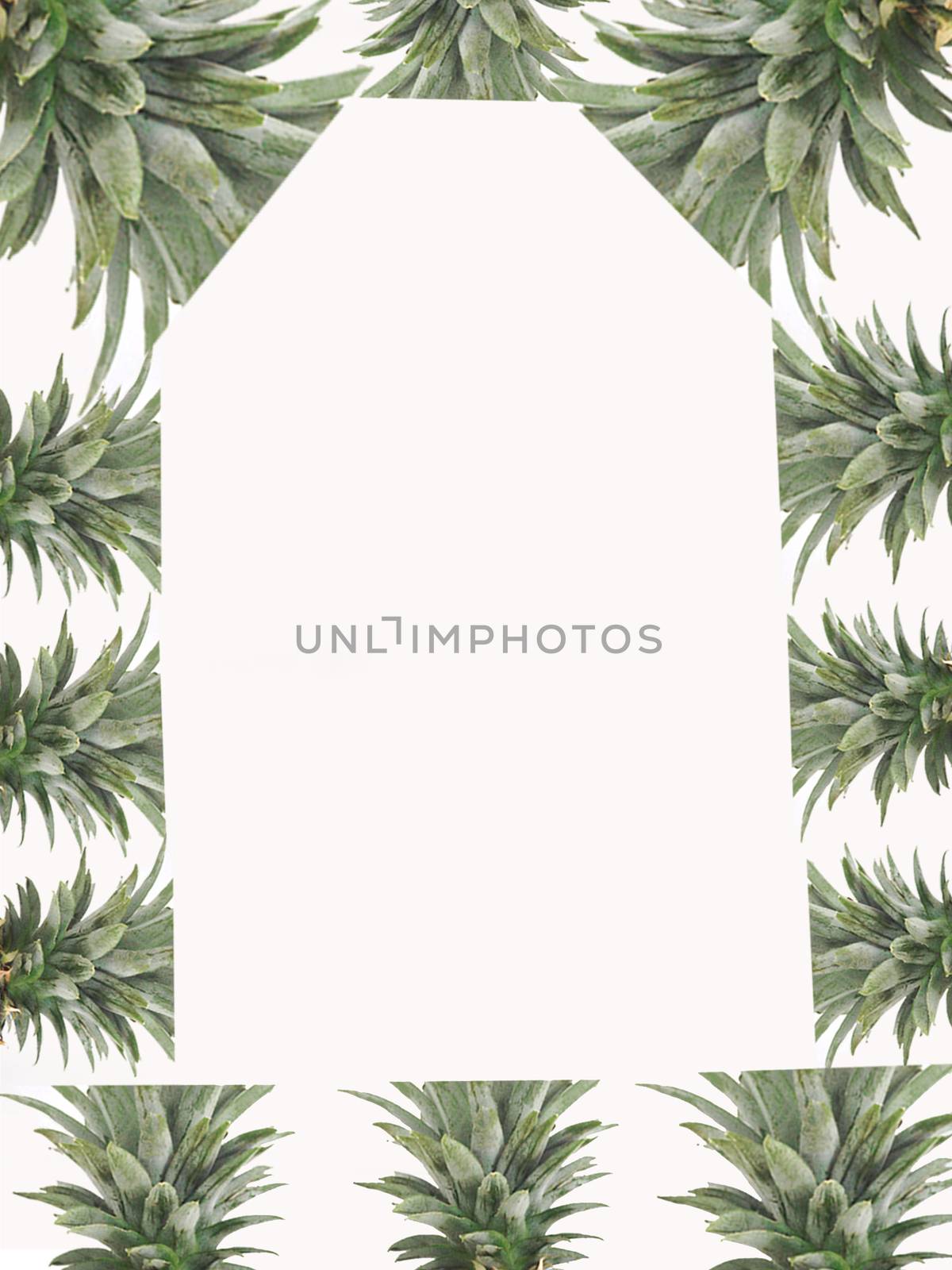 Pineapple leaves frame