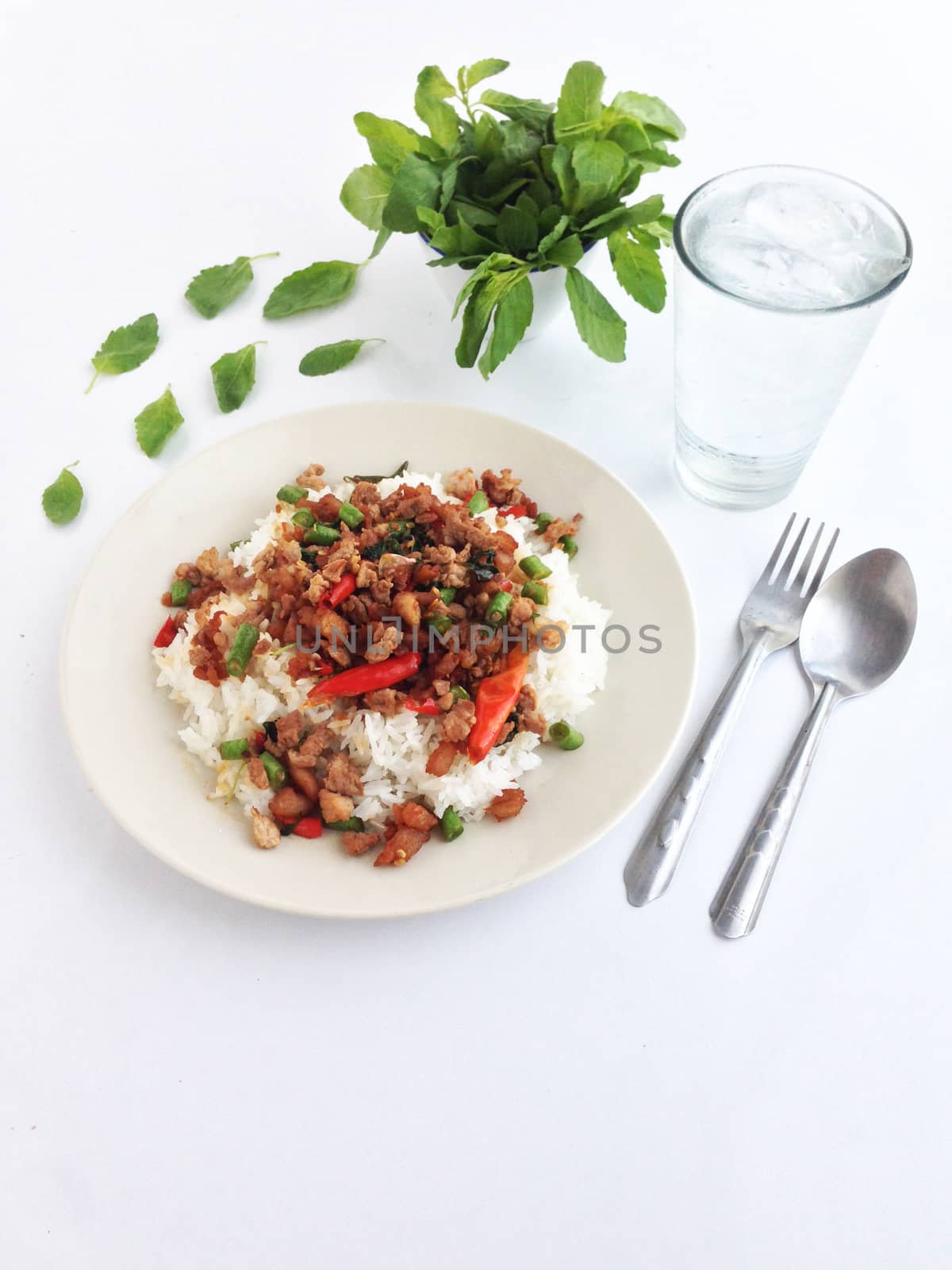 pork with chili & Basil leaves on Steamed rice