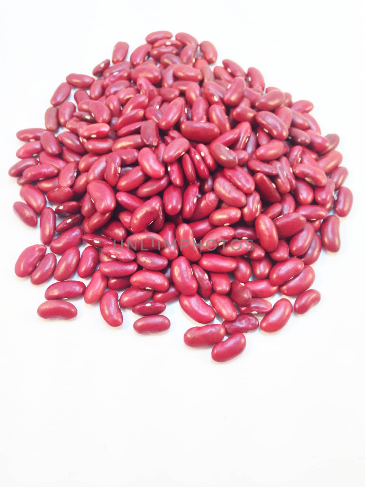 Red Bean on white background
