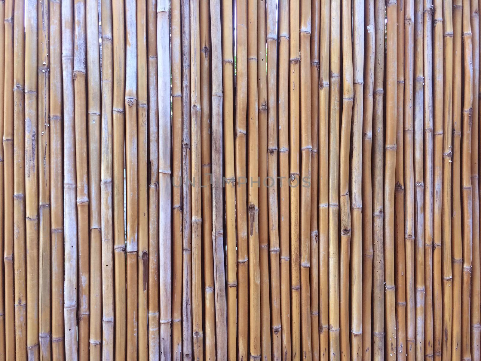 Bamboo wall or Bamboo fence texture background. by Bowonpat