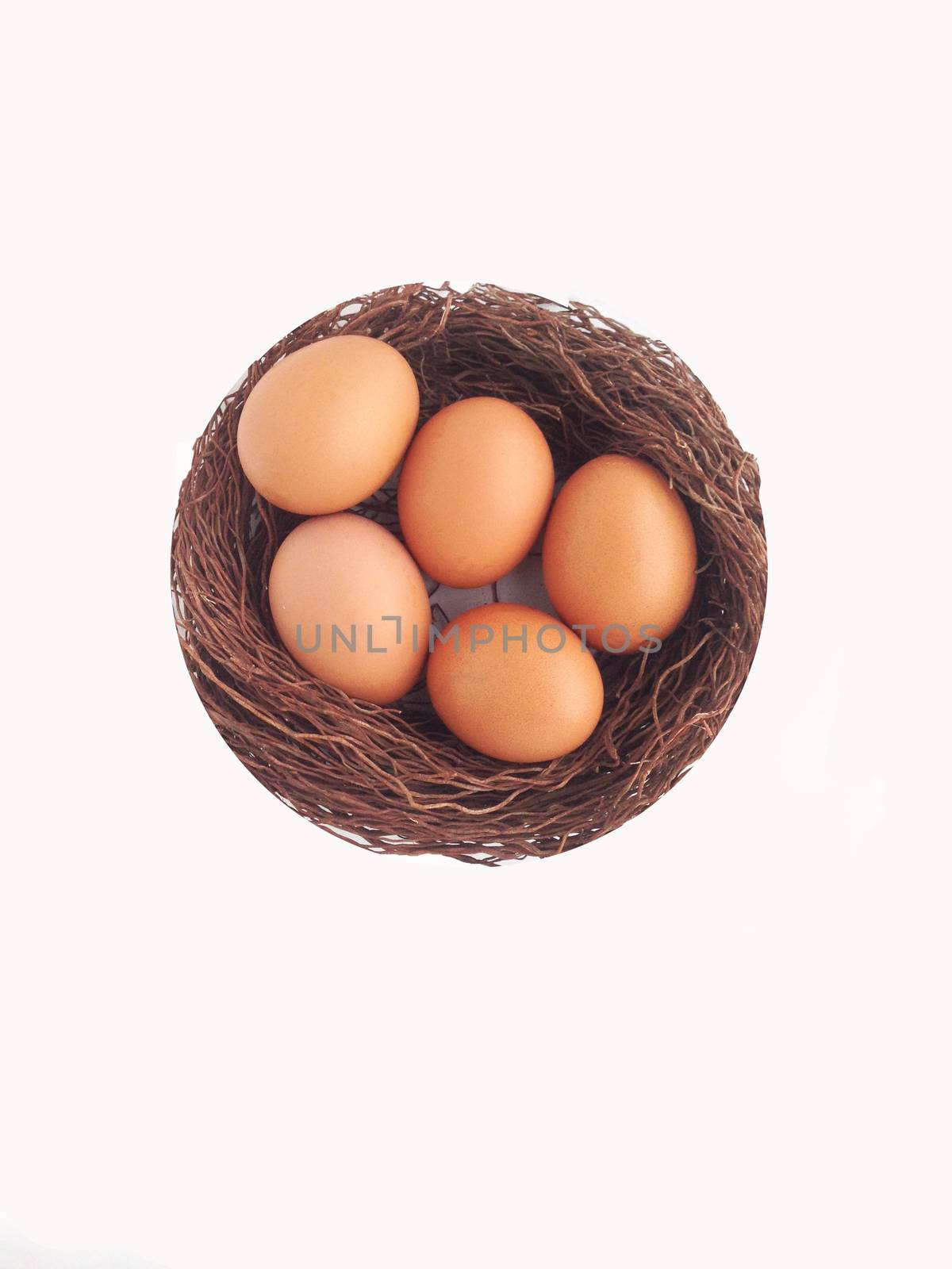 chicken egg on nest made from banyan tree air root with white background