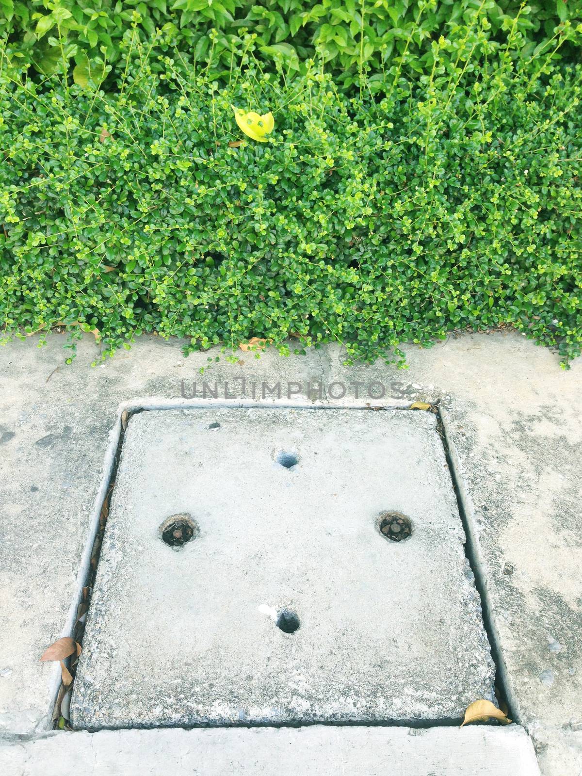 cement drain cap by Bowonpat