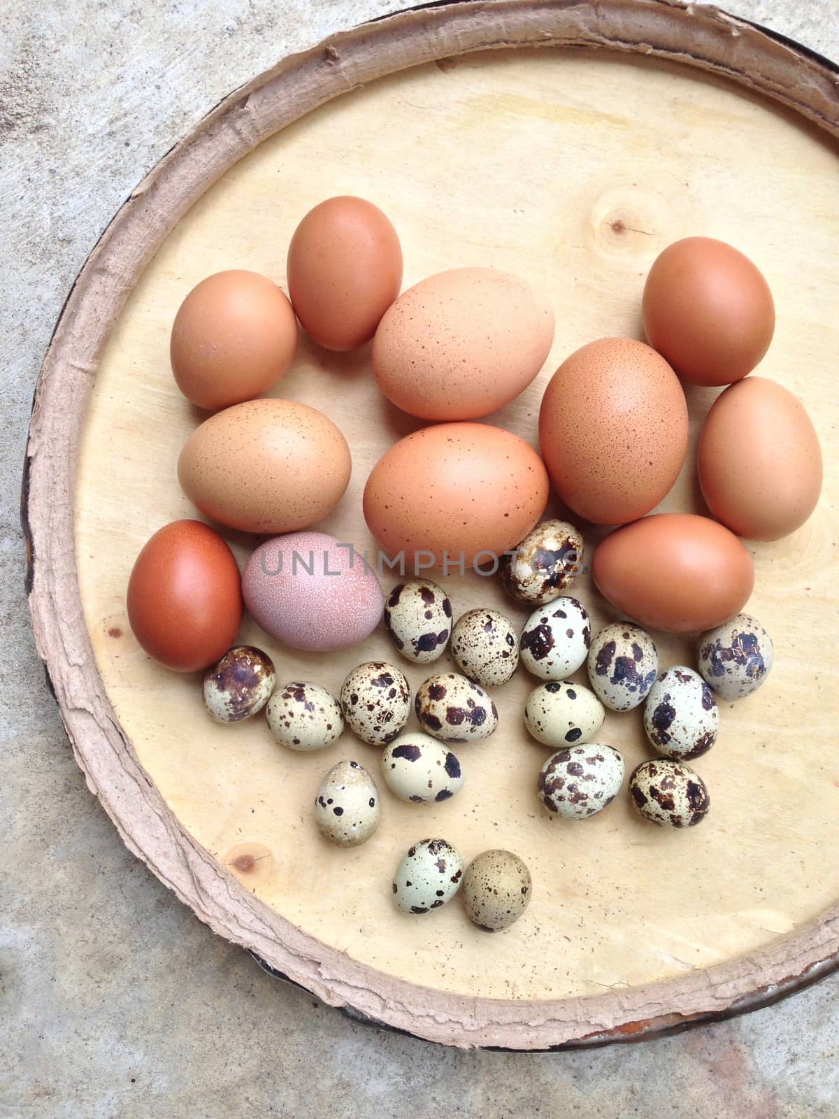 Chicken eggs and Quail eggs in wooden plate on cement background by Bowonpat