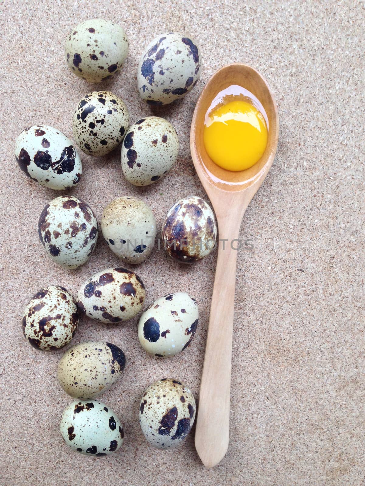 Quail eggs with yolk in wooden spoon on plywood by Bowonpat