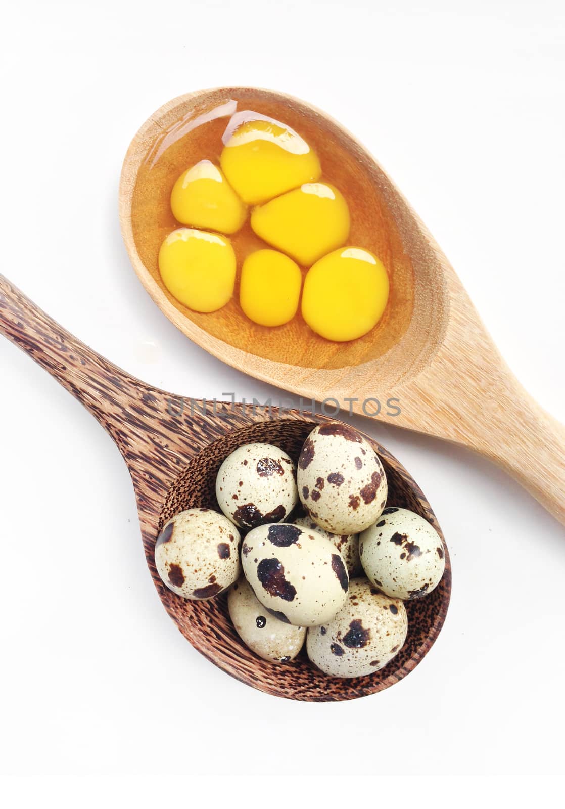 Quail eggs in wooden spoon white background by Bowonpat