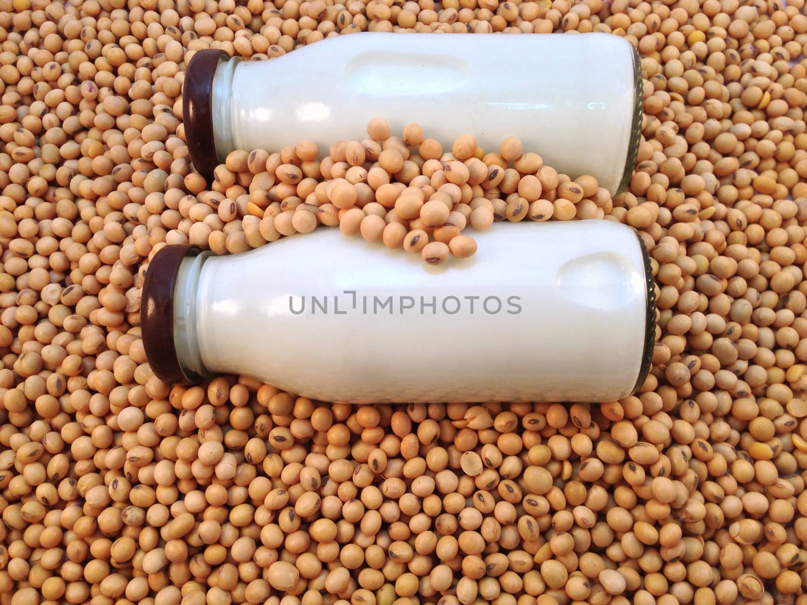 Soy milk in bottle on soy beans background by Bowonpat