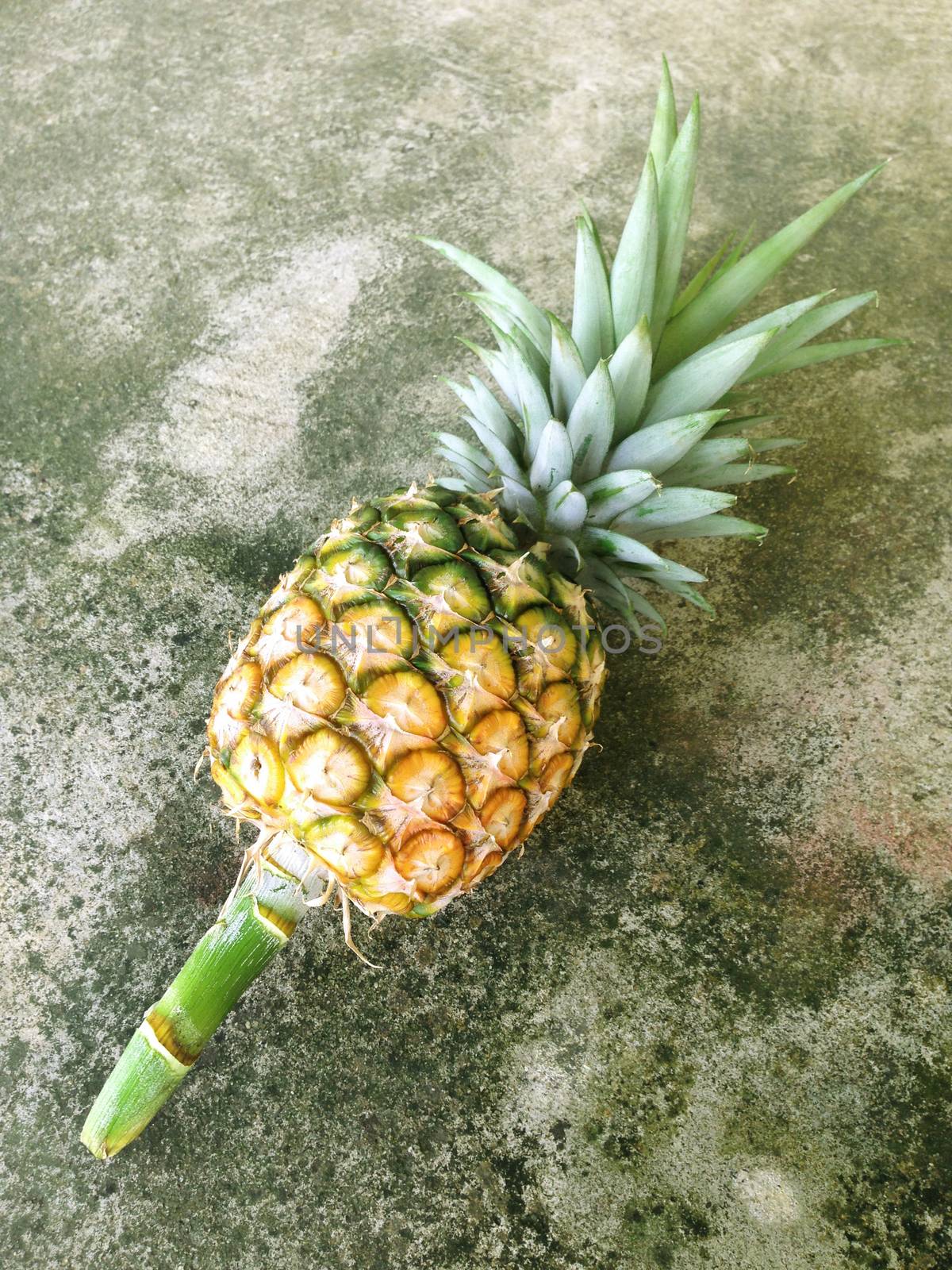 Pineapple isolated on cement floor by Bowonpat