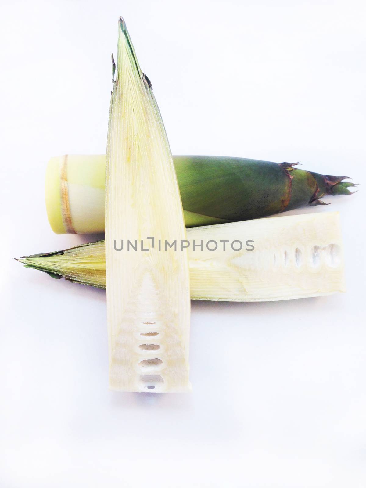 Bamboo shoots on white background by Bowonpat