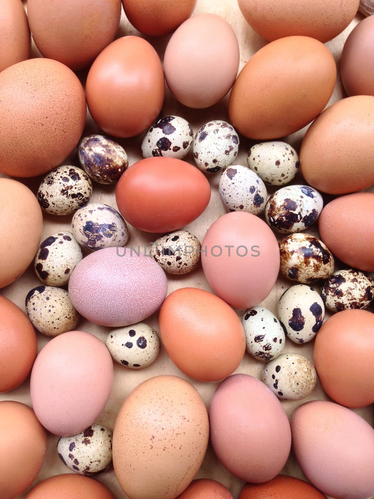 Chicken eggs and Quail eggs by Bowonpat