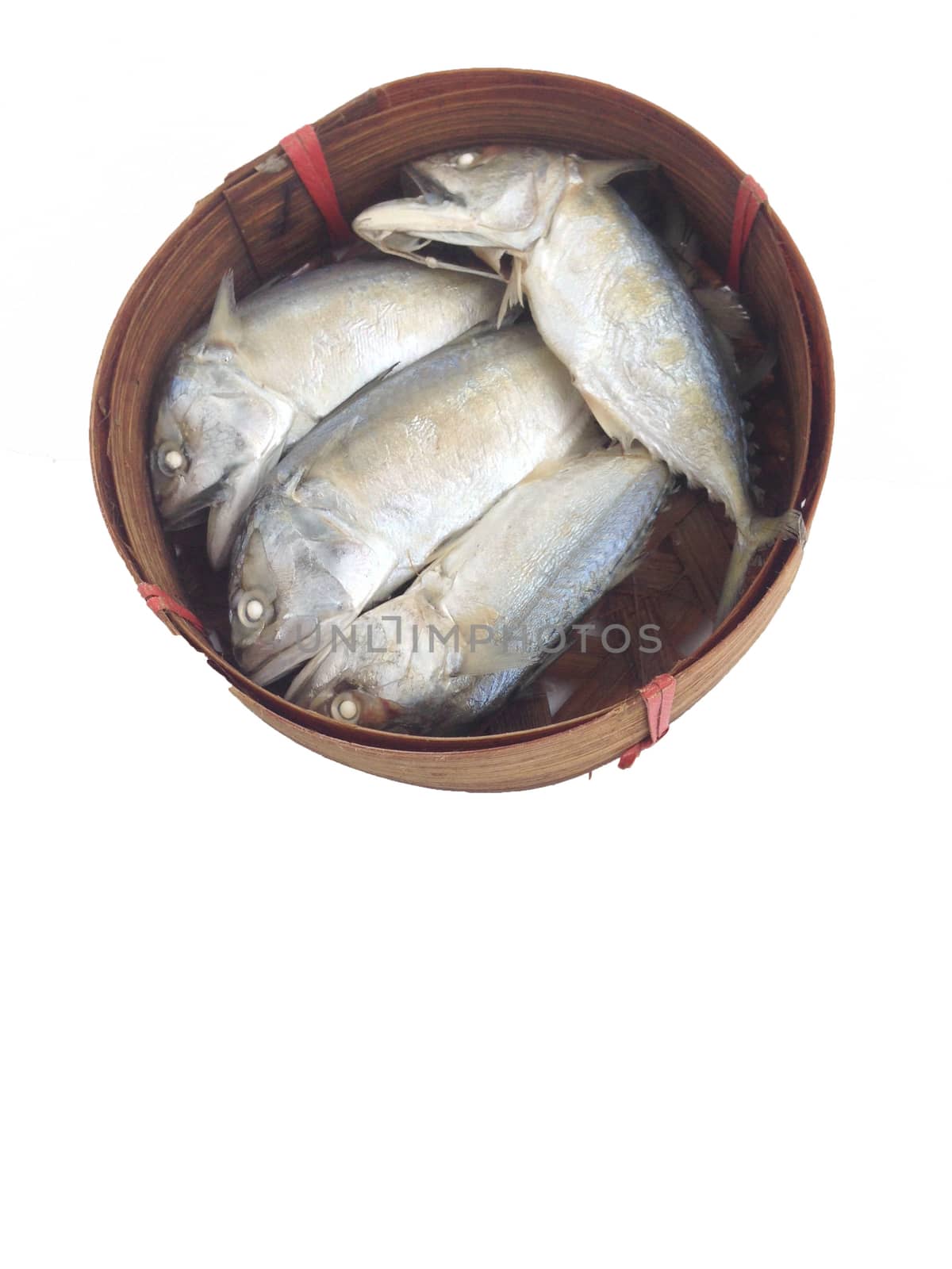 short mackerel on a round crate made of bamboo, used to transpor by Bowonpat