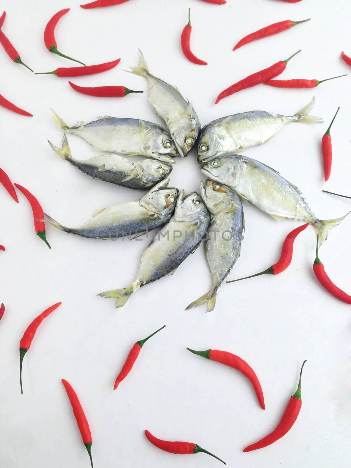 Short mackerel with chili by Bowonpat