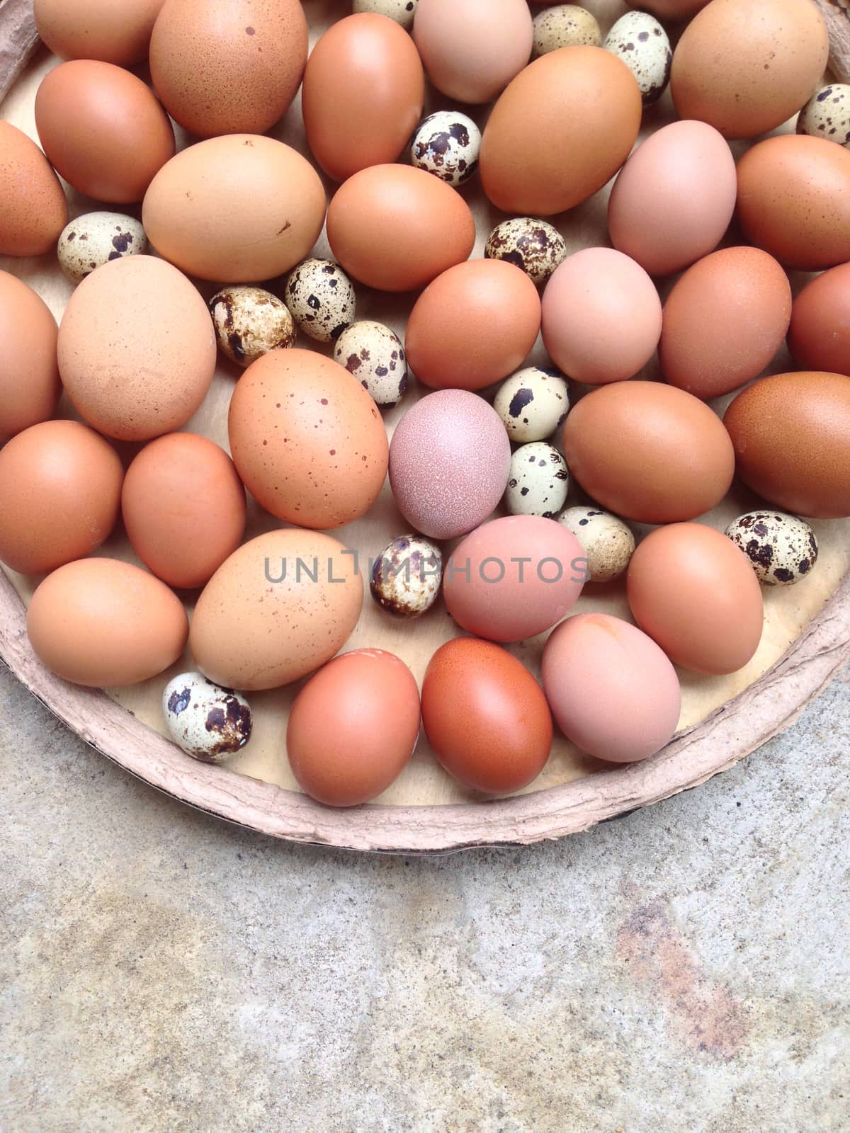 Chicken eggs and Quail eggs in wooden plate on cement background