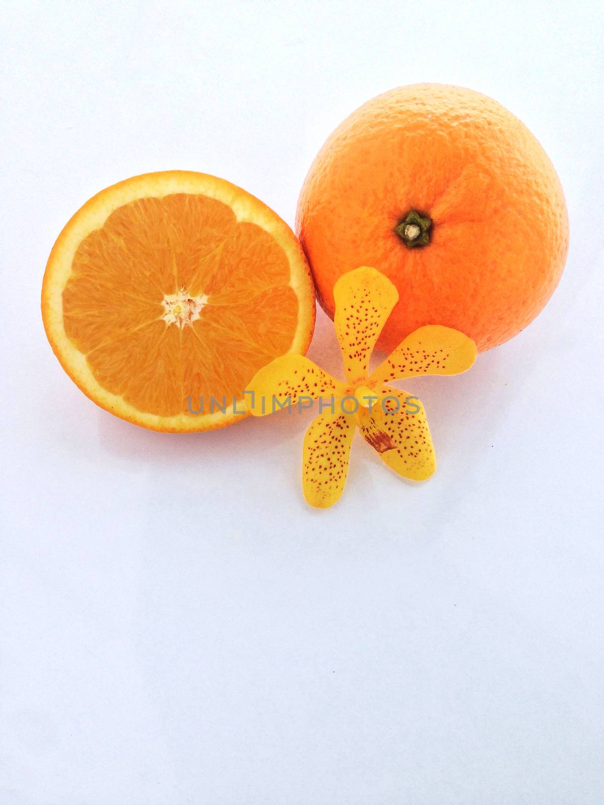 Fresh orange and slices on white background.