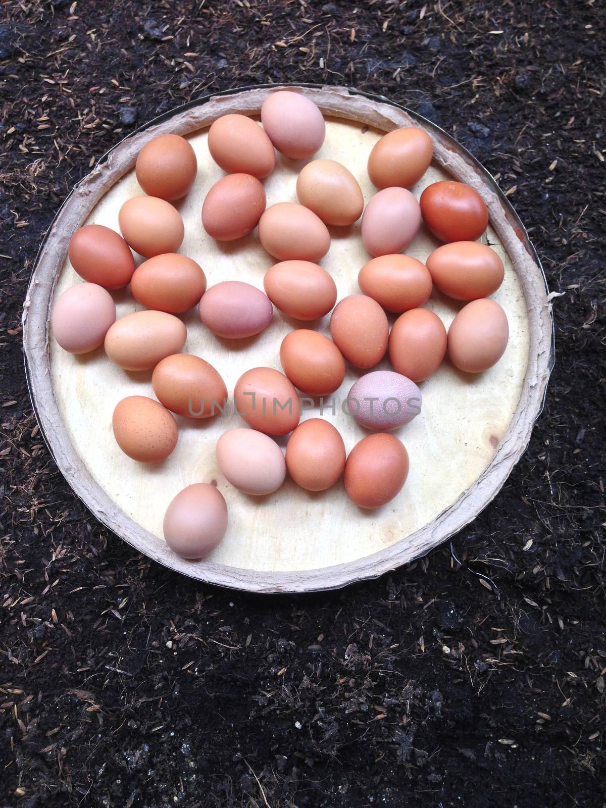 Eggs on wooden plate on black soil
