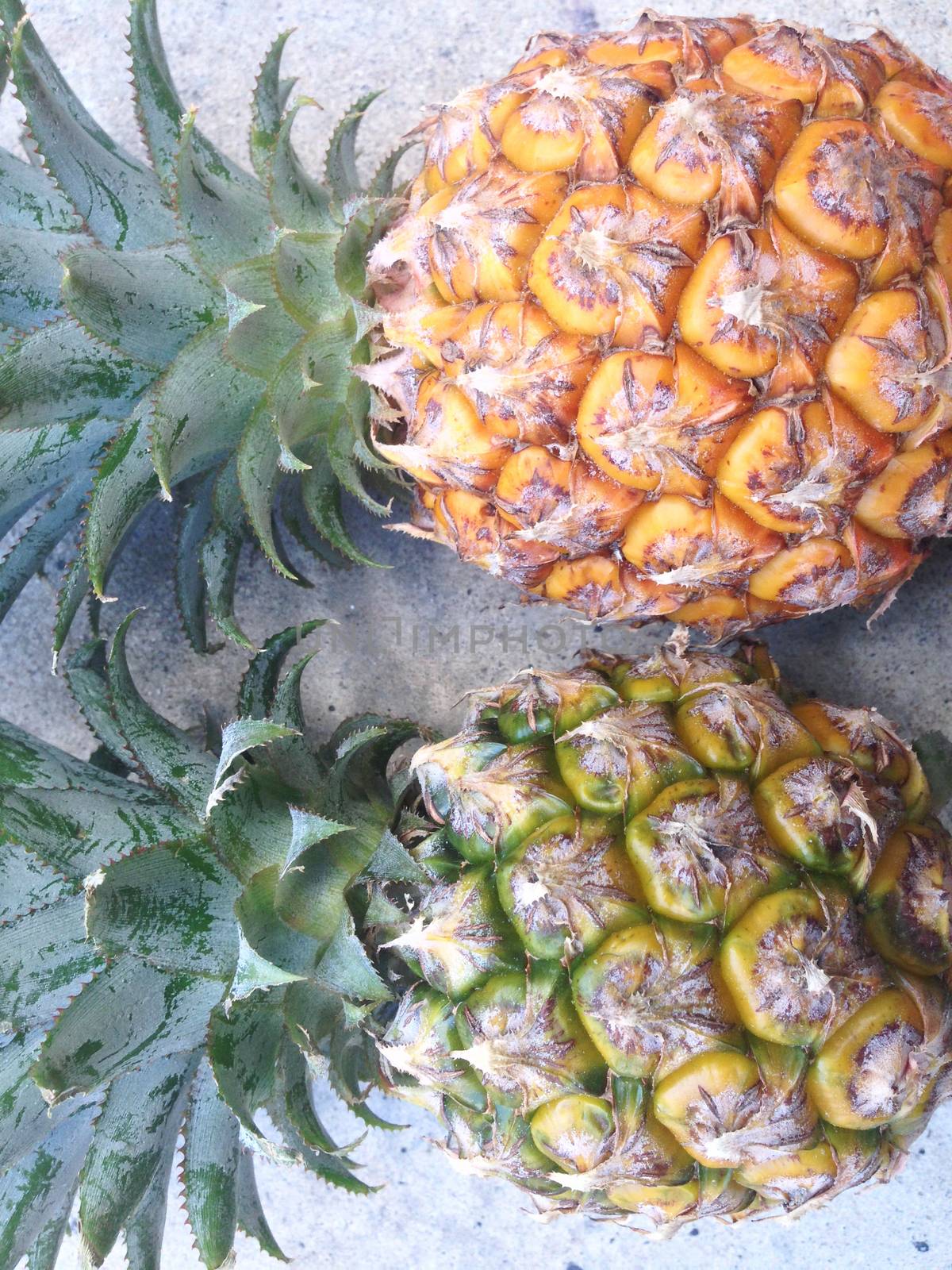 Pineapple isolated on cement floor by Bowonpat