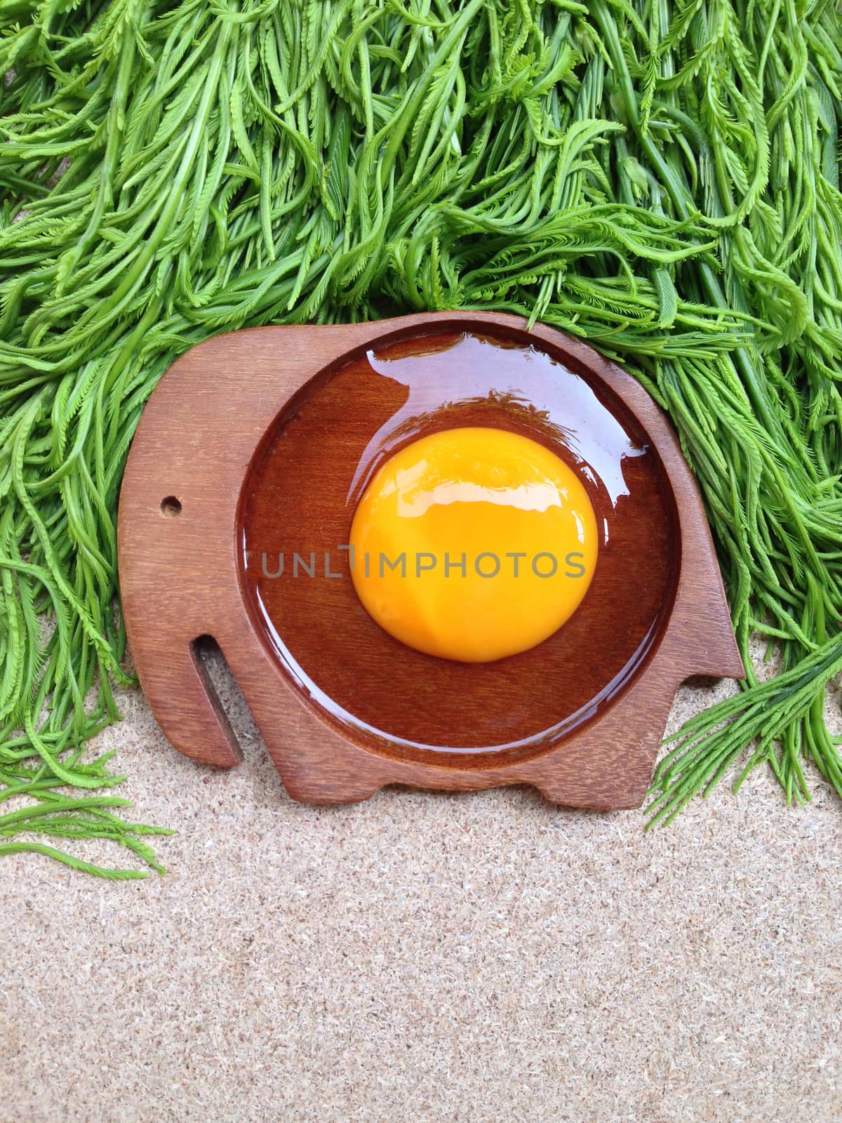 Egg yolk on wooden elephant shaped saucer with climbing wattle on plywood background