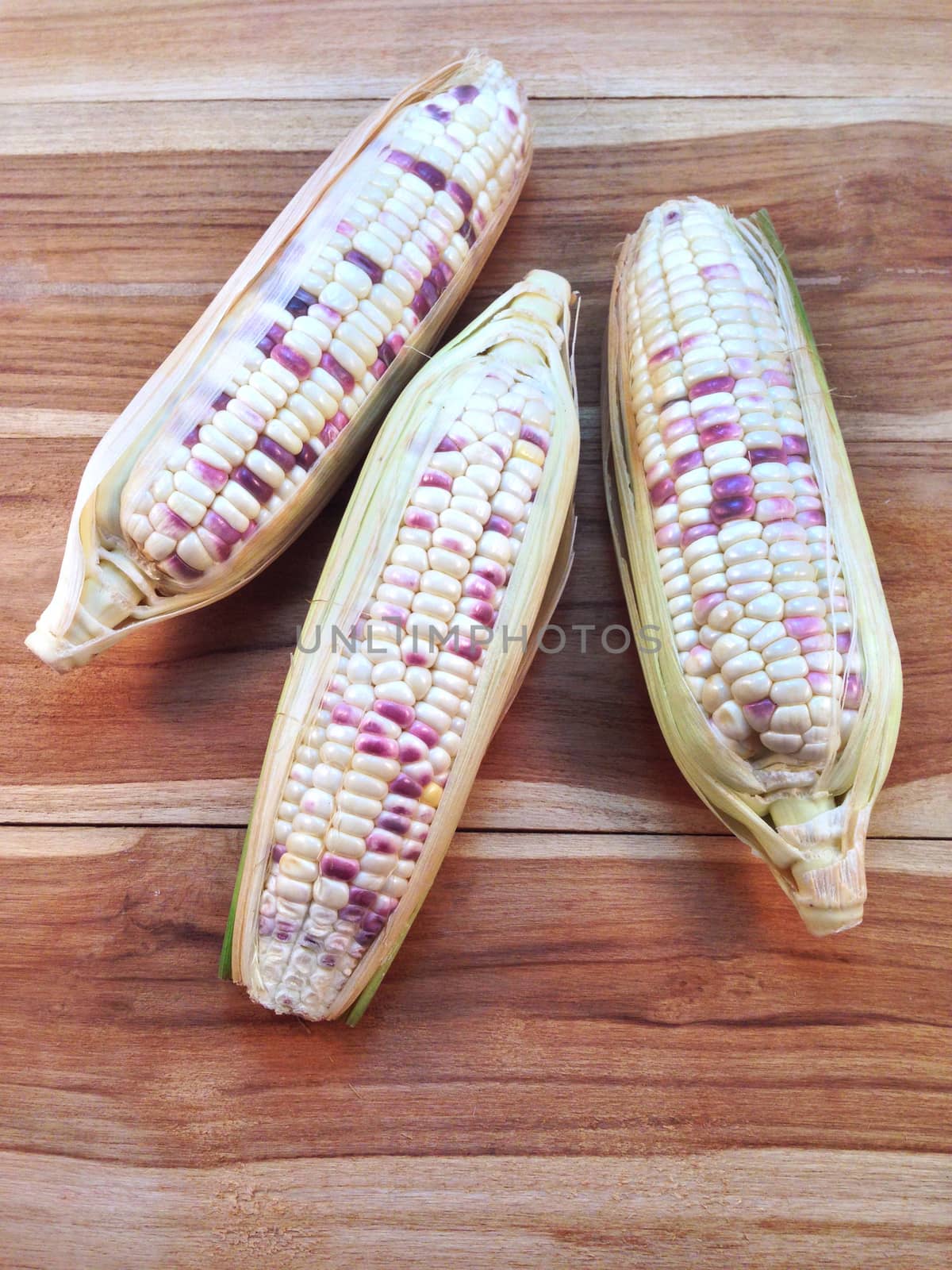 White and purple corn  on wooden background