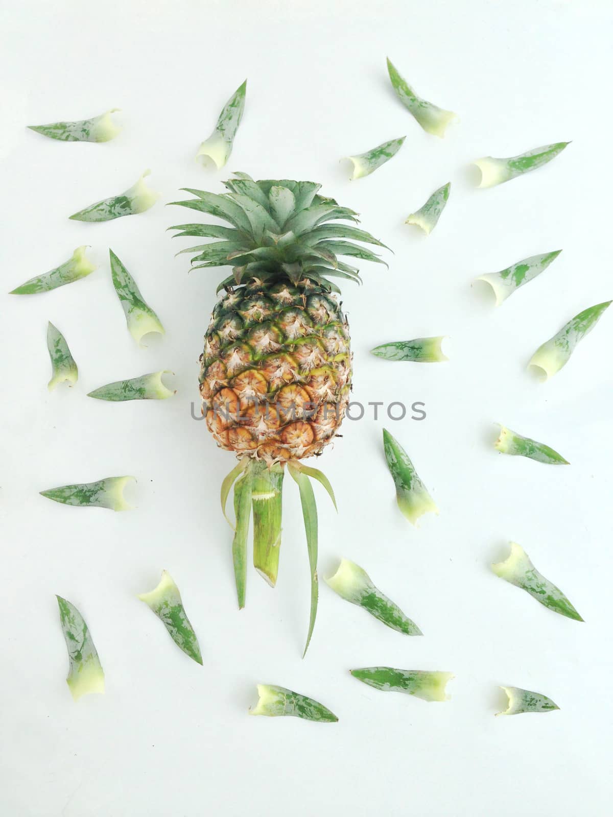 pineapple  and leaves by Bowonpat
