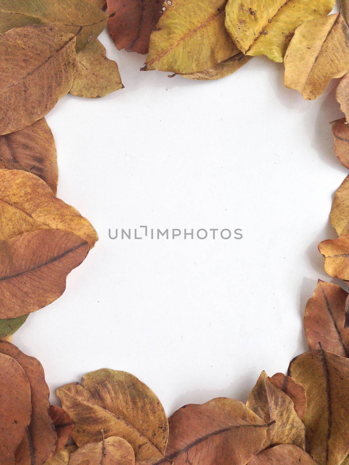 Dry leaves frame by Bowonpat