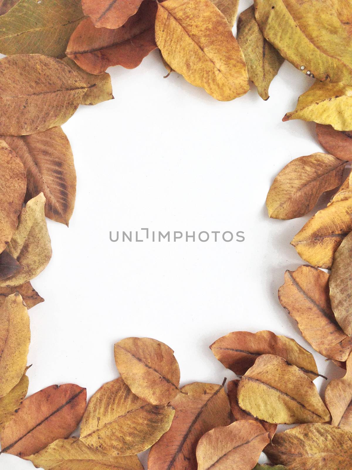 Dry leaves frame by Bowonpat