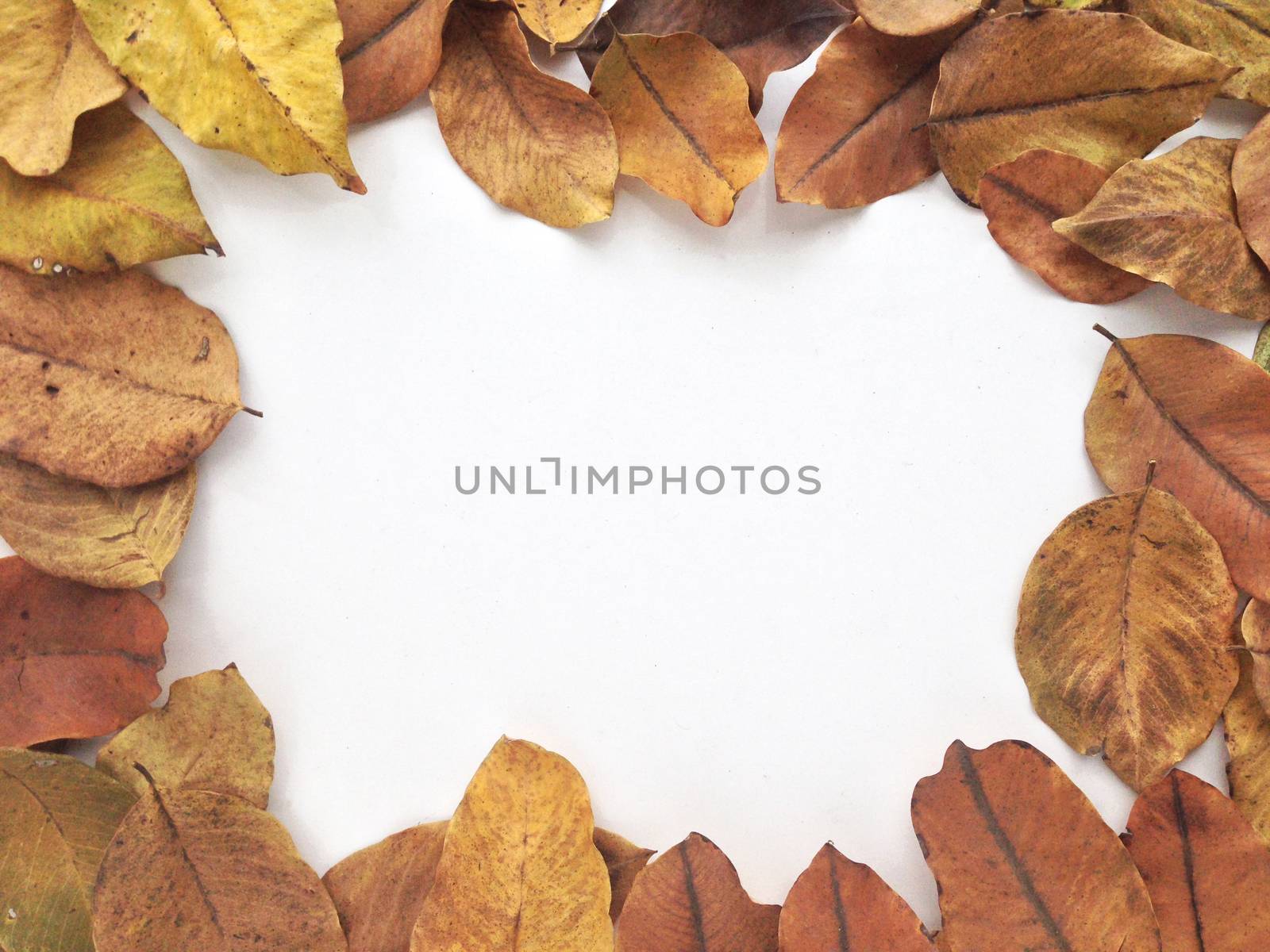 Dry leaves frame for text