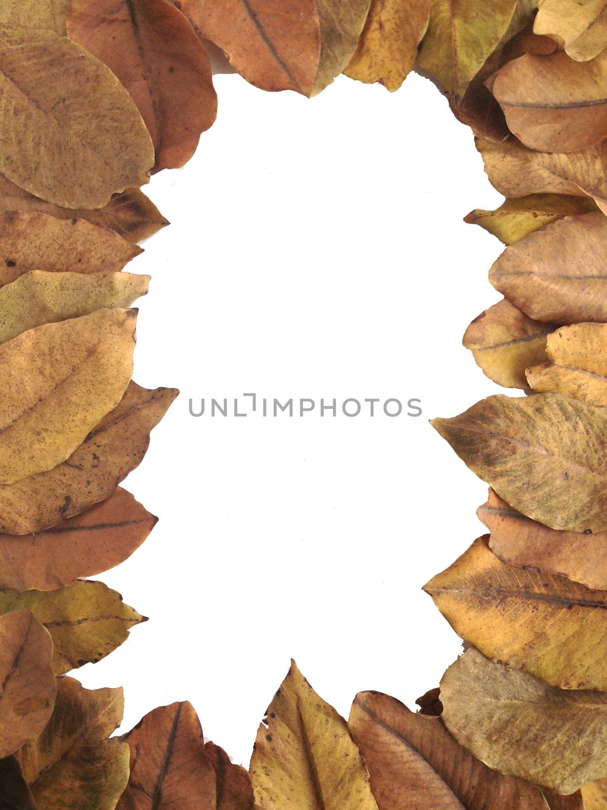 Dry leaves frame by Bowonpat