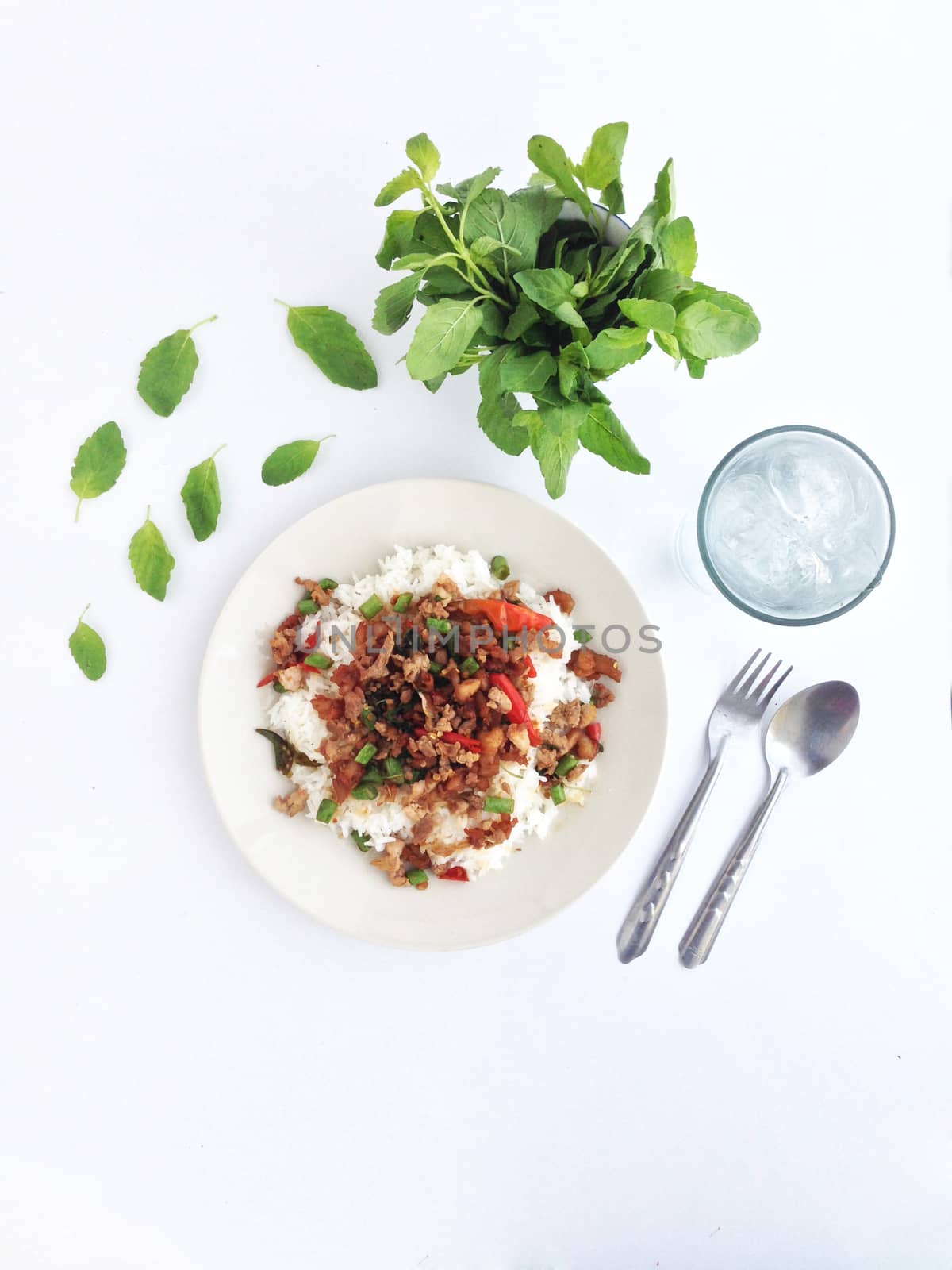 pork with chili & Basil leaves on Steamed rice by Bowonpat