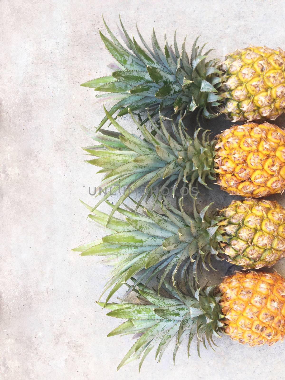 Pineapple isolated on cement floor