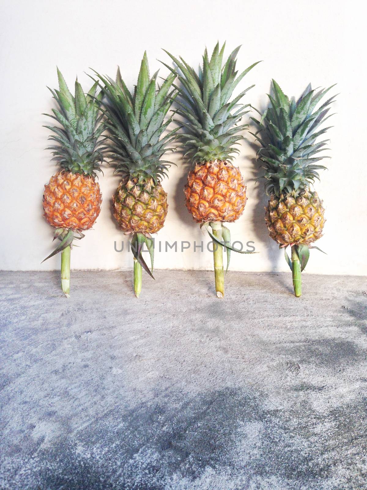 Pineapple isolated on cement floor by Bowonpat