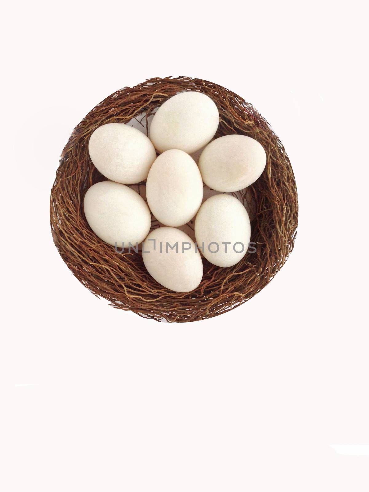 Duck egg on nest made from banyan tree air root with white background
