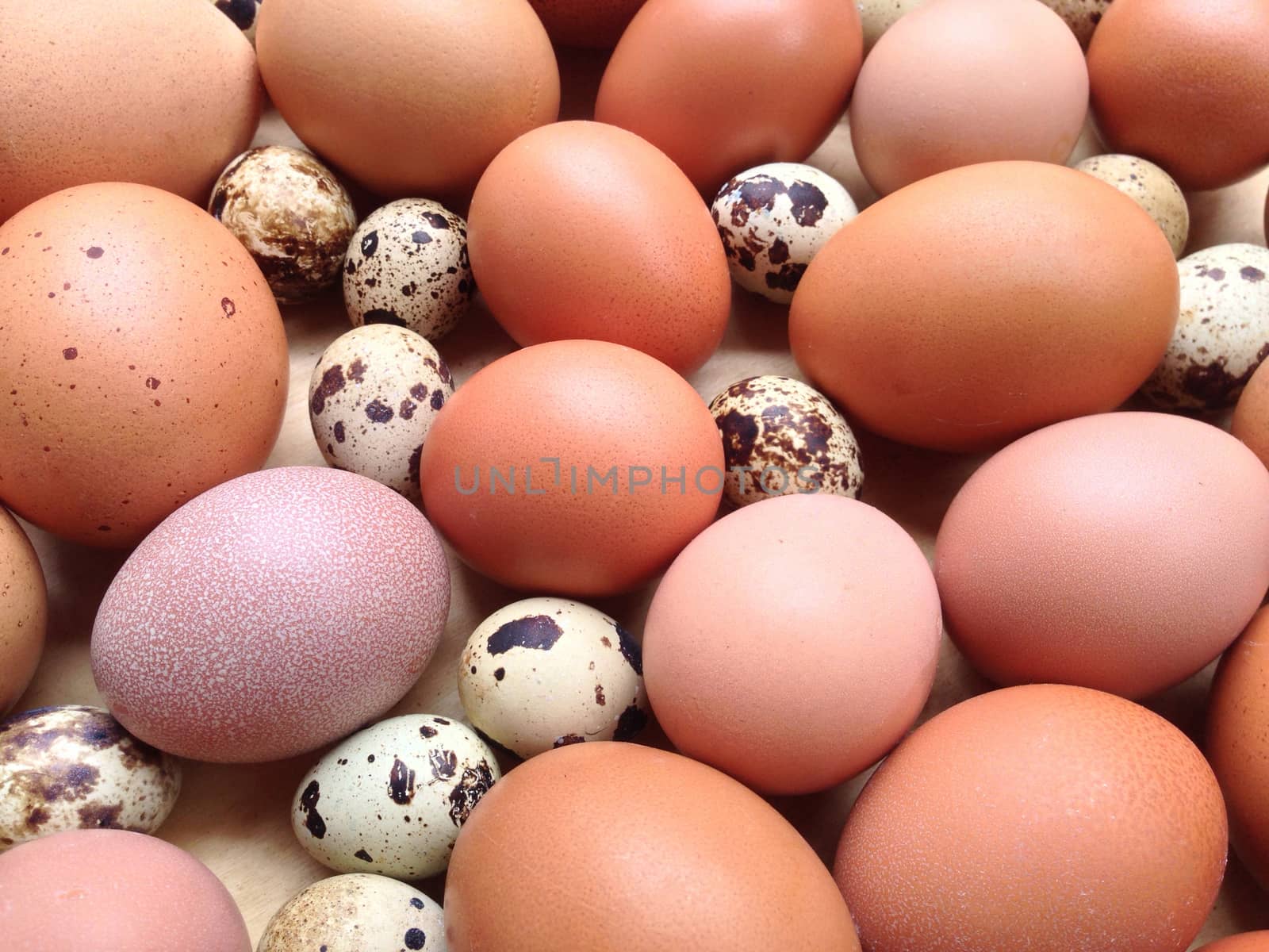 Chicken eggs and Quail eggs by Bowonpat