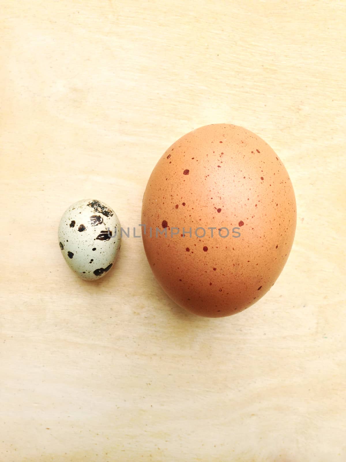 chicken egg and Quail egg on wooden background