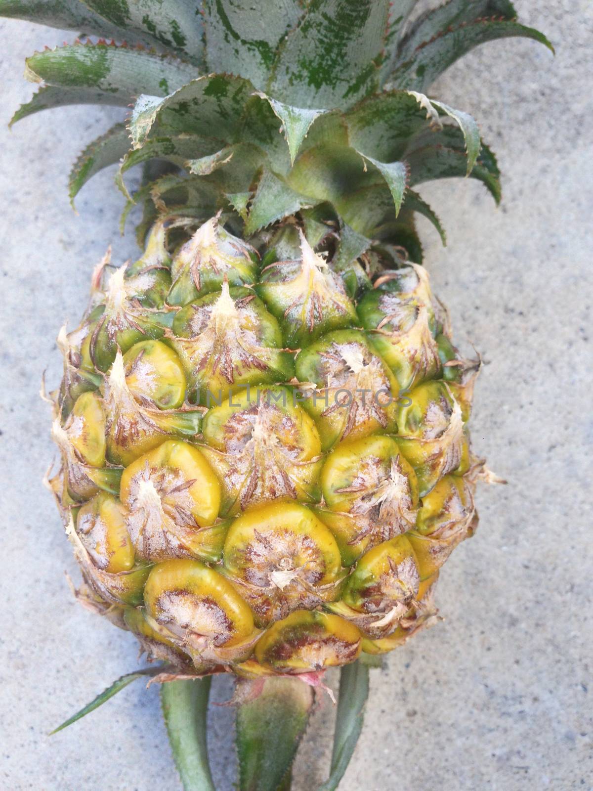 Pineapple isolated on cement floor by Bowonpat