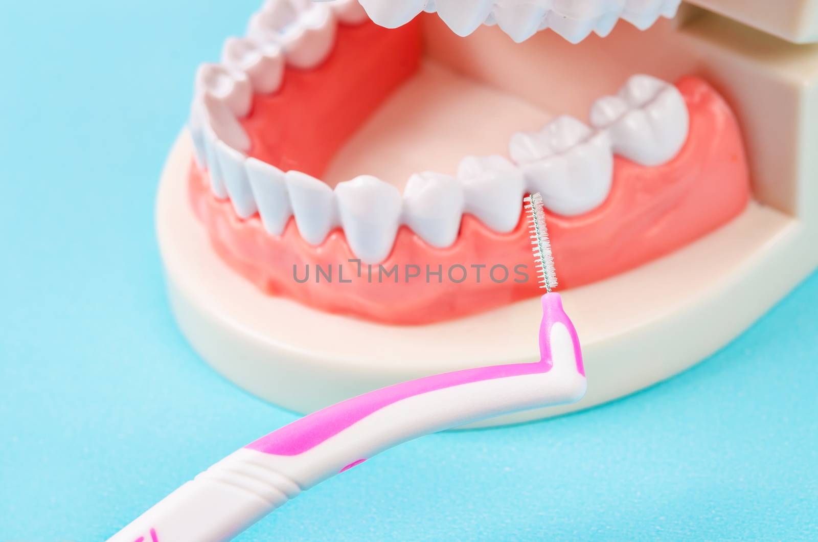 Interdental Brushes with denture in dental lab.