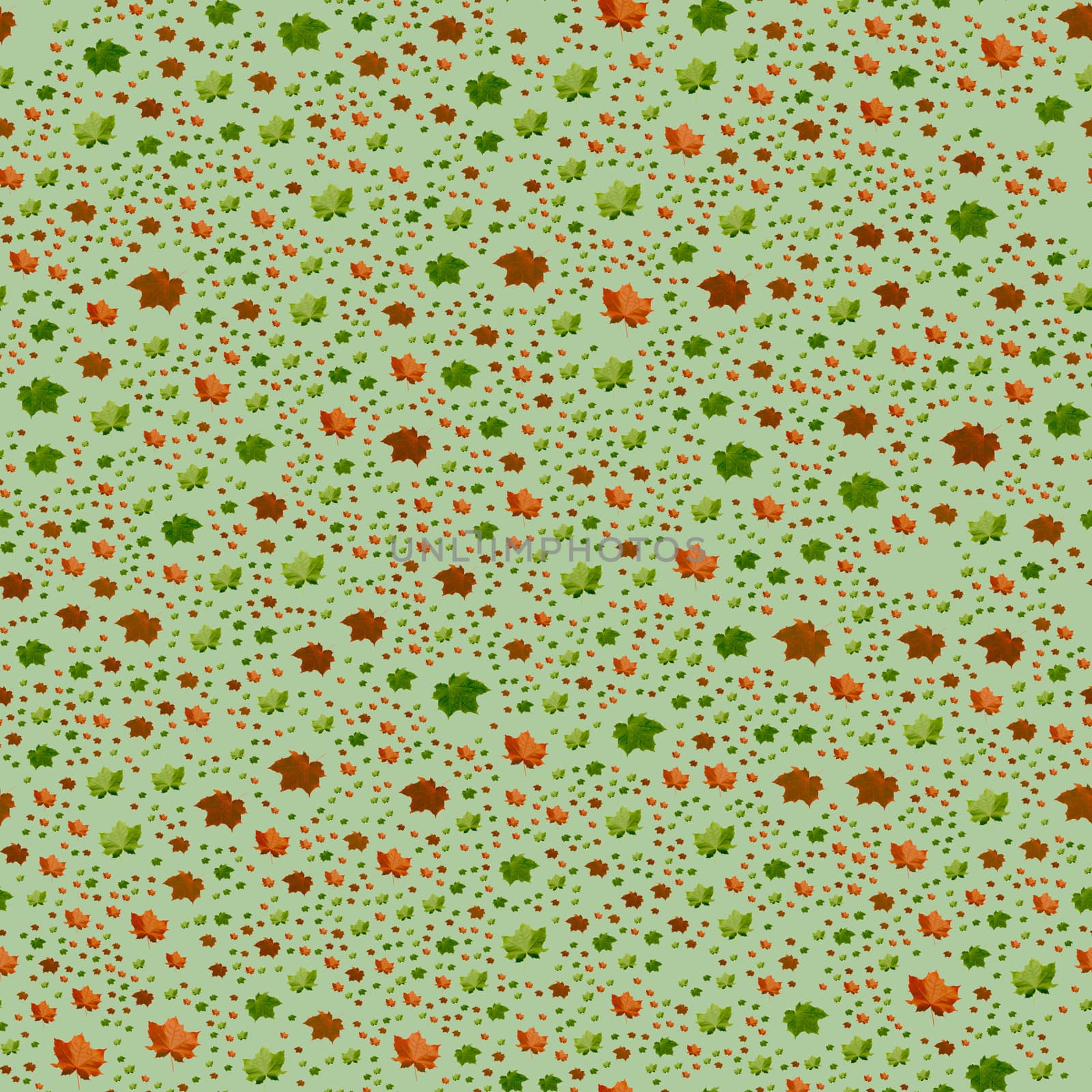 Seamless Autumn Leaves Pattern on green Background by gstalker